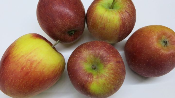 Wie dein Kuchen richtig saftig wird? Am besten einen geriebenen Apfel oder eine Birne in den Rührteig geben!