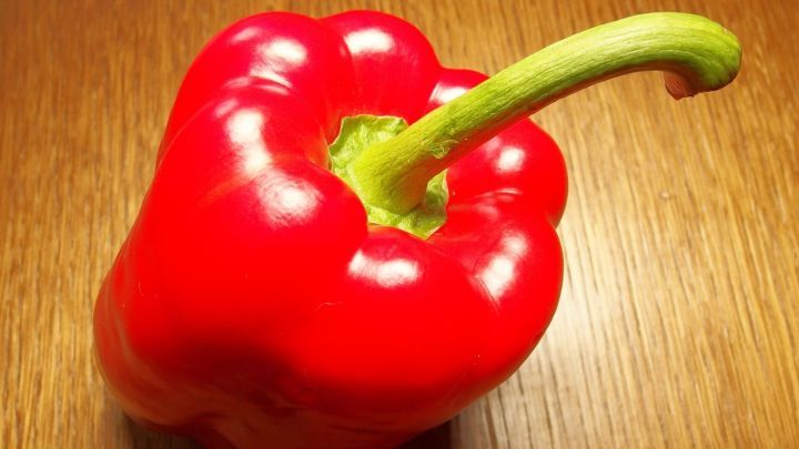 Paprikaschoten schälen leicht gemacht: Im Backofengrill geröstete Paprikaschoten, lassen sich leicht schälen. Je schwärzer die Schoten, umso besser geht die Häutung.