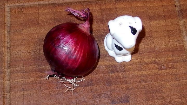 Binnen 14 Tagen ist das Hühnerauge weg, mit diesem Tipp. Du brauchst nur eine dicke Scheibe von einer Zwiebel, Salz und einen Verband.