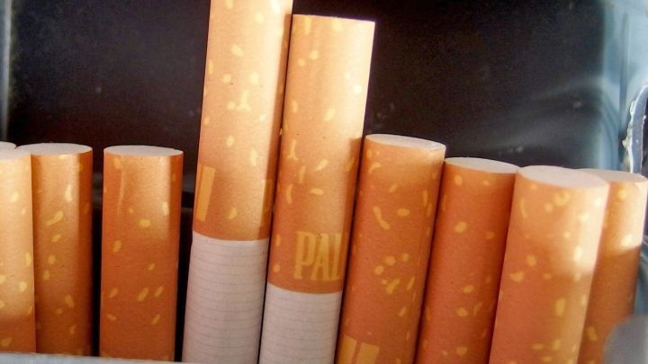Dank eines Portpourris mit duftendem Efeu, Grünlilien oder Einblatt baut man im verrauchten Zimmer alle giftigen Stoffe aus dem Rauch wieder ab.