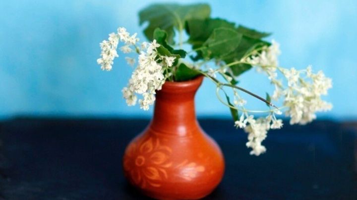 Schönes verschenken: Blumen in Vasen von Basaren oder Flohmärkten.