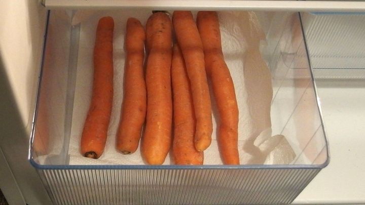 Frisches Gemüse mit Haushaltspapier im Kühlschrank. Dieses saugt die Feuchtigkeit auf, das verhindert Schimmelbildung.