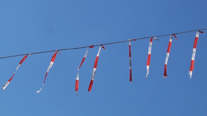 Tauben Vom Balkon Vertreiben Frag Mutti