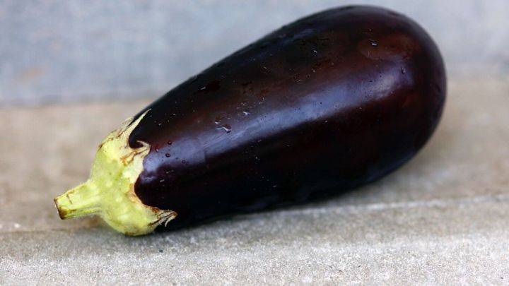 Da bittere Auberginen selten sind, kann man sich das Einsalzen sparen. Man kann stattdessen vor dem Kochen ein winziges Stück Aubergine probieren und so feststellen, ob sie für den Verzehr geeignet ist.