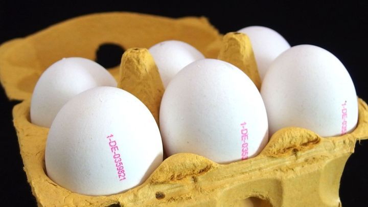 Eier kaufen ist immer mit einem gewissen Risiko behaftet: Sind die Eier alle noch ganz oder haben sie schon einen Knick?