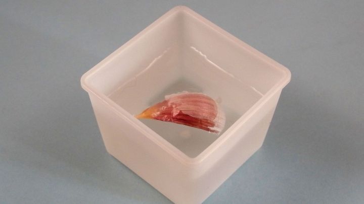 Dein Knoblauch will sich einfach nicht schälen lassen? Mit diesem einfachen Trick kannst du ihn kinderleicht von seiner Schale befreien.