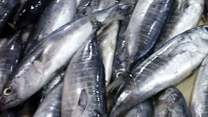 Verhindern von starkem Fischgeruch beim Braten von Fisch.