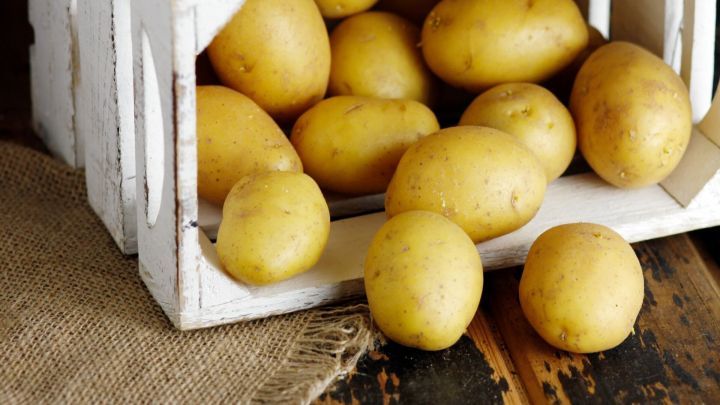 Kartoffeln halten deutlich länger und keimen viel seltener, mithilfe dieser Kartoffelkiste aus Holz.