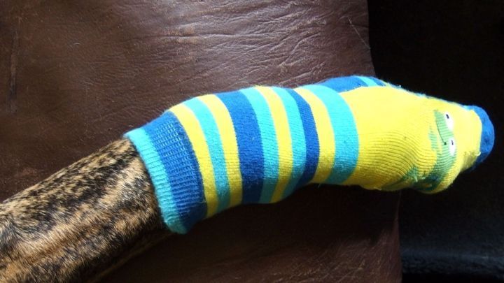 Mit einer Kindersocke Hunde im Winter vor Streusalz schützen.