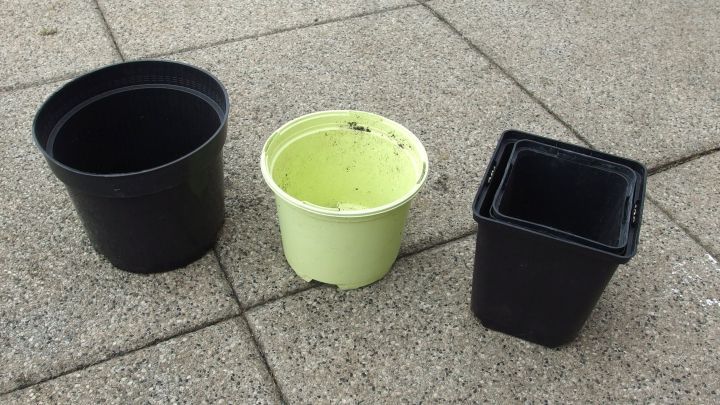 Blumentöpfe & Paletten bei Gärtnereien abgeben & Abfall vermeiden.