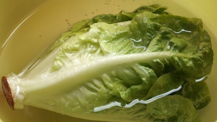 Schlapper Salat wird wieder knackig | Frag Mutti