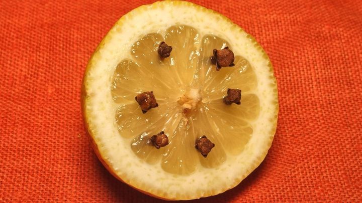 Zitronen & Nelken: Diese Gerüche sind von der Obstfliege verhasst und gleichzeitig angenehm für unsere Nasen.
