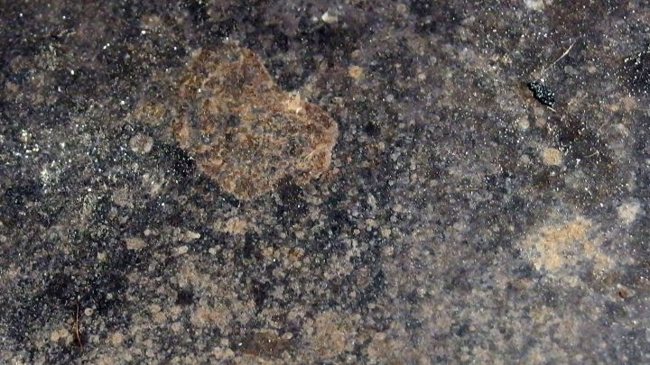 Braune hartnäckige Flecken auf Herdplatten mit Backofenreiniger entfernen.