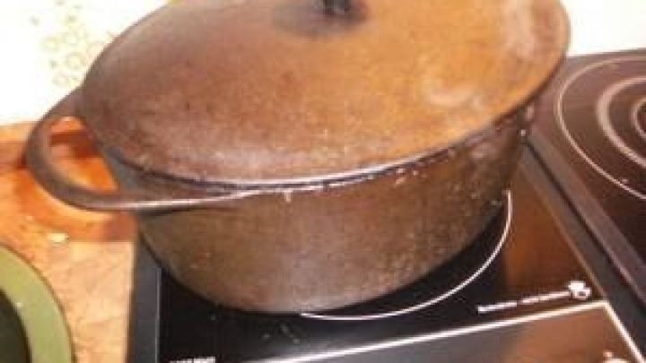 Induktionsherd Und Gusseiserner Gansebrater Frag Mutti