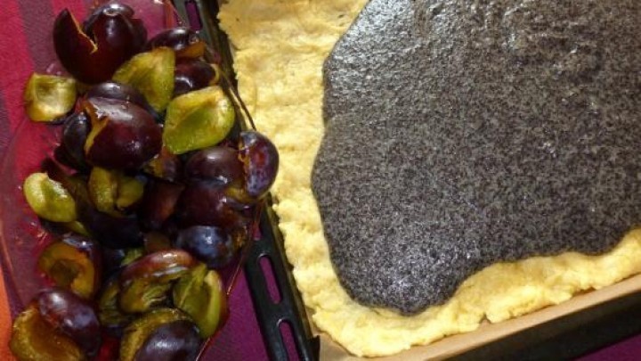 Pflaumen-Mohn-Kuchen auf dem Blech gebacken | Frag Mutti