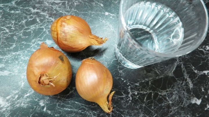 Zwiebeln schneiden ohne Weinen? Einfach einen Schluck Wasser in den Mund nehmen und dann ganz normal die Zwiebel schneiden.