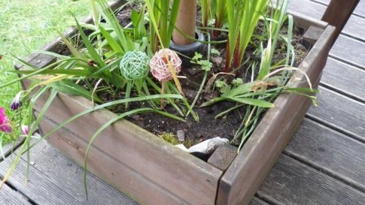 Sonnenschirmständer zum Bepflanzen | Frag Mutti