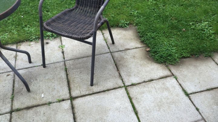 Helle Terrassenplatten, die Flecken bekommen haben, bekommt man ganz einfach sauber mithilfe von Gebissreiniger.