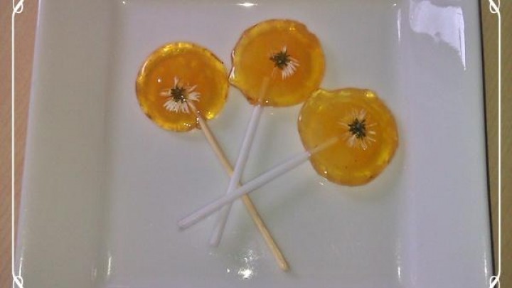 Rezept: Orangen-Lutscher mit Gänseblümchen selbstgemacht | Frag Mutti