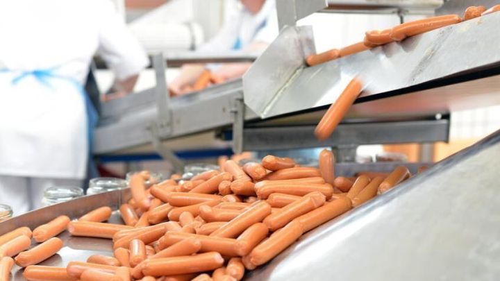 Fleischproduktion und Konsum in Deutschland Frag Mutti