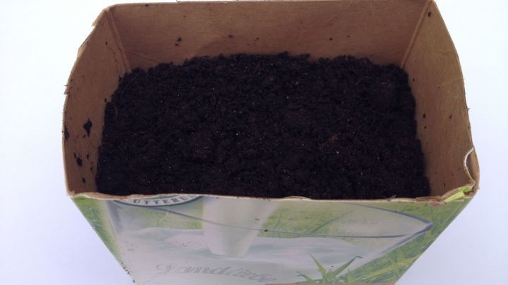 blumentopfe mit serviettentechnik gestalten, tetrapack als blumentopf - kräuter aus der milchtüte | frag mutti, Innenarchitektur