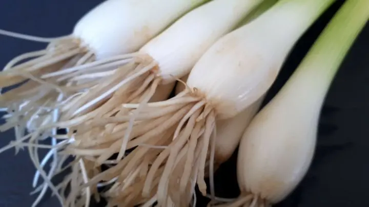 Nie wieder welk im Gemüsefach: Dieser simple Trick für Lauchzwiebeln macht deine Küche sofort alltagstauglicher.