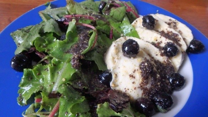 Wildsalat mit Mozzarella, Blaubeeren und Mohndressing - Rezept