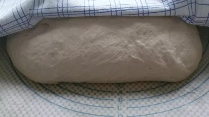 Den Teig zu einem länglichen Brotlaib formen, rundum bemehlen und zugedeckt 30 Minuten gehen lassen.  