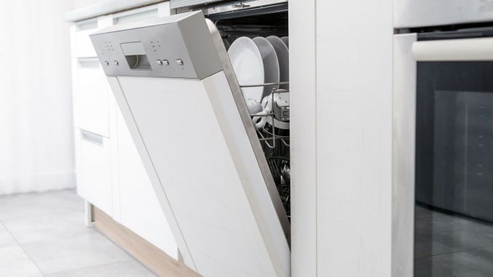 Einen Schuss Wein oder Essig in die Maschine geben, ca. 20 Minuten warten, bis es sich alle Obstfliegen im Geschirrspüler bequem gemacht haben. Dann schnell zumachen, Programm laufen lassen und die Sache hat sich erledigt!