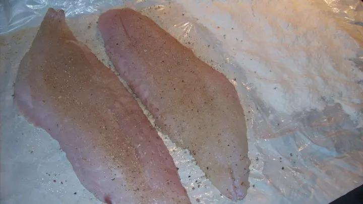 Der Fisch wird leicht gepfeffert und gesalzen, in ein wenig Mehl gewälzt und sodann in der Pfanne auf jeder Seite hellgelb gebraten.