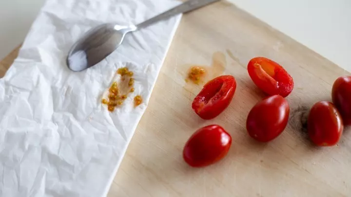 Auf einem Küchenpapier kannst du Erdbeersamen, Tomatensamen, Orangensamen, Kiwi- oder Paprikasamen trocken und dann später einpflanzen.