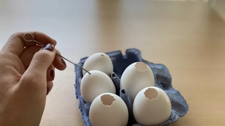 Die Eier werden vorsichtig mit einer spitzen Nadel oben und unten angestochen und anschließend ausgeblasen.