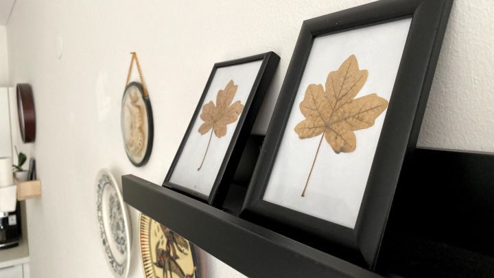 Der Herbst klopft an und langsam wird es Zeit, die Sommerdeko gegen Herbstdeko auszutauschen. Lass dich durch diesen Tipp inspirieren.