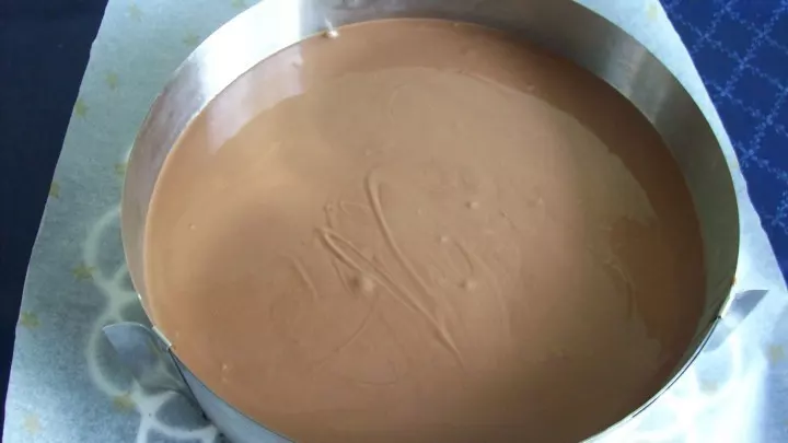 Die Schokoladen-Mischung wird dann auf die erstarrte Aprikosen-Decke aufgetragen und die zweite Kuchenplatte wird zum Abschluss aufgelegt.