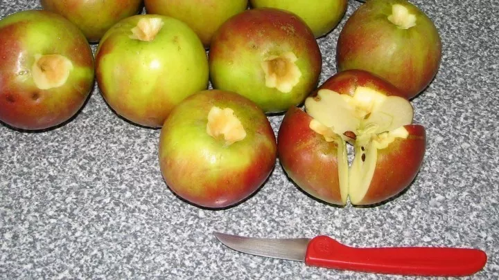 Jetzt werden die Äpfel Apfel Mercedes-Stern-artig geteilt.