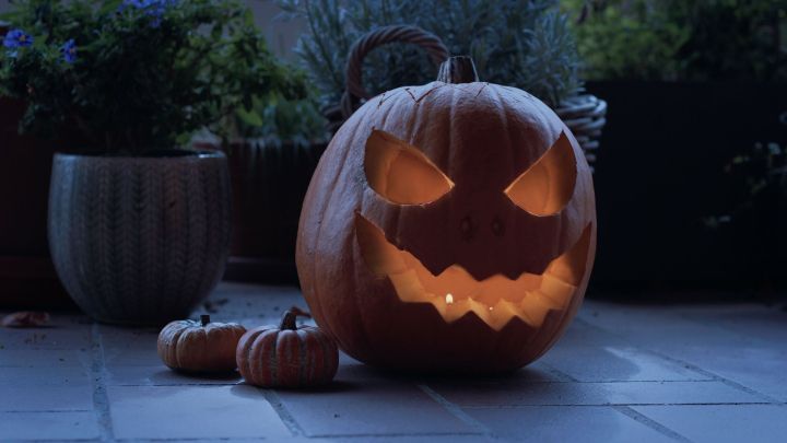 In diesem Video zeigen wir dir eine Anleitung, wie du einen Kürbis für Halloween ganz einfach schnitzen und aushöhlen kannst.
