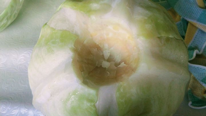 Klassische Kohlroulade mit Tipp zum Entblättern des Kohls - Rezept