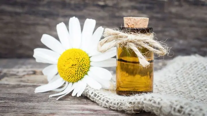 Zahnfleischentzündungen sind keine Seltenheit. Doch was hilft gegen eine akute Entzündung und wie beugt man vor? Hier lesen!