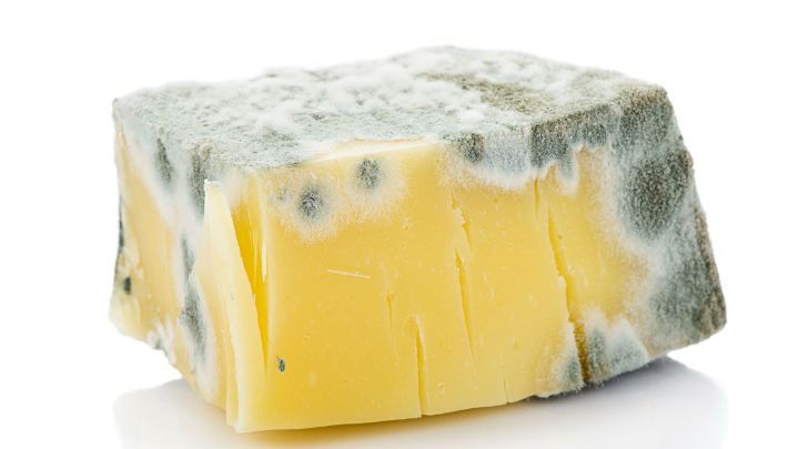 Warum essen Erwachsene so gerne Stinkekäse? Frag Mutti