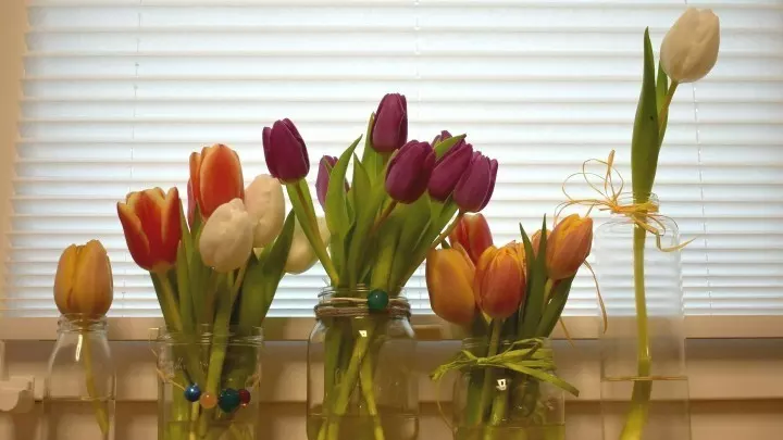 Beim Gestalten von Blumen-Deko ist es optisch sehr ansprechend, wenn du immer eine ungerade Zahl nimmst, z. B. 3 oder 5 Gläser. 1, 3, 5 oder 7 Tulpen.