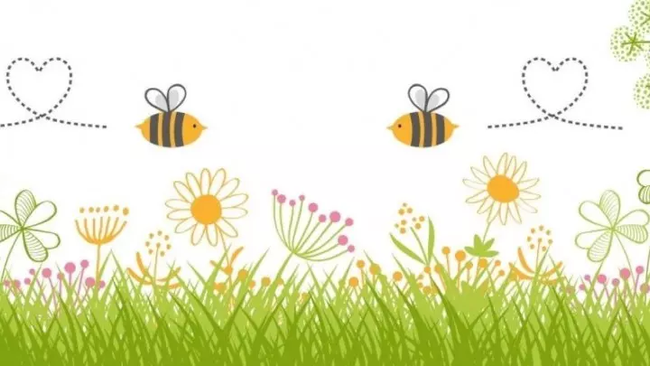 Am 20. Mai ist Weltbienentag. Doch warum gibt es auf der ganzen Welt dieses dramatische Bienensterben und was können wir dagegen tun?