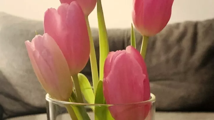 Blumen-Deko, die was hermacht:  Tulpen hübsch und kreativ in einer schmalen Vase arrangiert. 