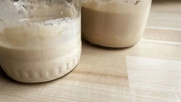 Wer schon im Besitz eines starken und guten Roggensauerteiges ist, kann ihn mit dieser Methode auf einen Weizensauerteig „umzüchten“.