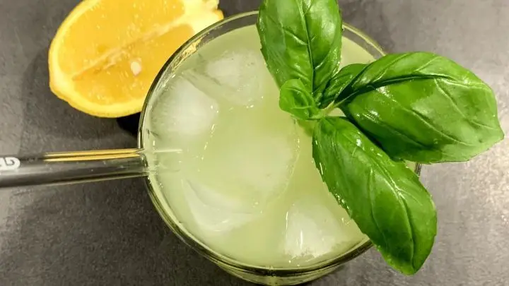 Gin Basil Smash: Einfach frischer & aromatischer Cocktail aus Gin, Basilikum, Zitrone und Zuckersirup. Jetzt Original-Rezept lesen!