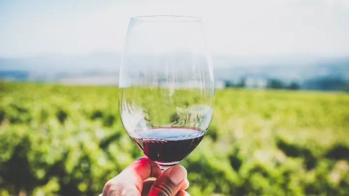 Bei jedem Schluck Wein taucht man ein in die reiche Kultur und Geschichte Italiens, wirklich ein Genuss für alle Sinne. Salute!