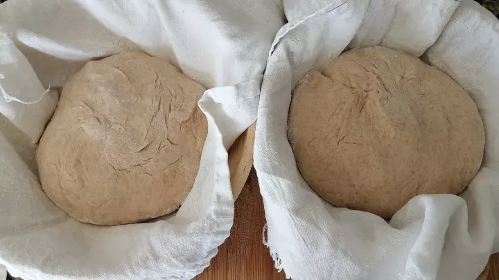 Gedehnt, gefaltet und geformt freuen sich die Brotlaibe auf eine Ruhephase, um dann fix im Backofen zu verschwinden.