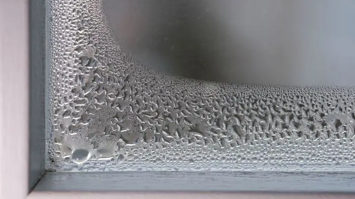 Kaum wird es kälter, beschlagen deine Fenster von innen? Mit diesen paar Tipps kannst du das ganz einfach vermeiden.