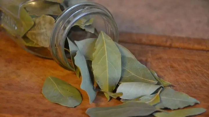 Lorbeerblätter werden häufig in Saucen, Eintöpfen und Fleischgerichten verwendet, um ihnen eine aromatische Tiefe zu verleihen.