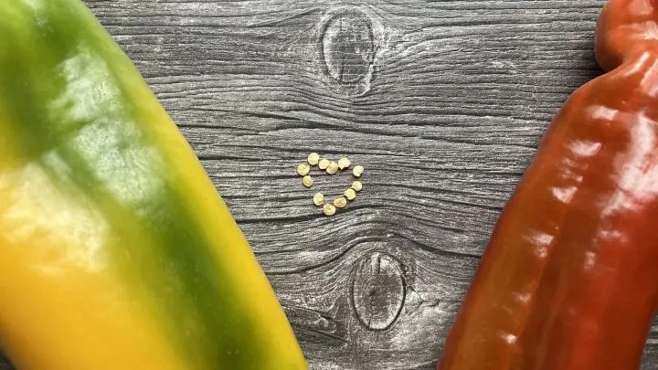 Die Weihnachtsdeko ist verschwunden, die Fensterbank ist leer. Jetzt ist die beste Zeit, um dort Chili und Paprika vorzuziehen!