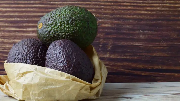 So bleiben deine Avocados länger frisch!: Mit 5 Profi-Tipps sparst du Geld & vermeidest Food Waste ✓ Jetzt Guide lesen & Avocados retten!
